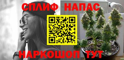 шишки Апрелевка