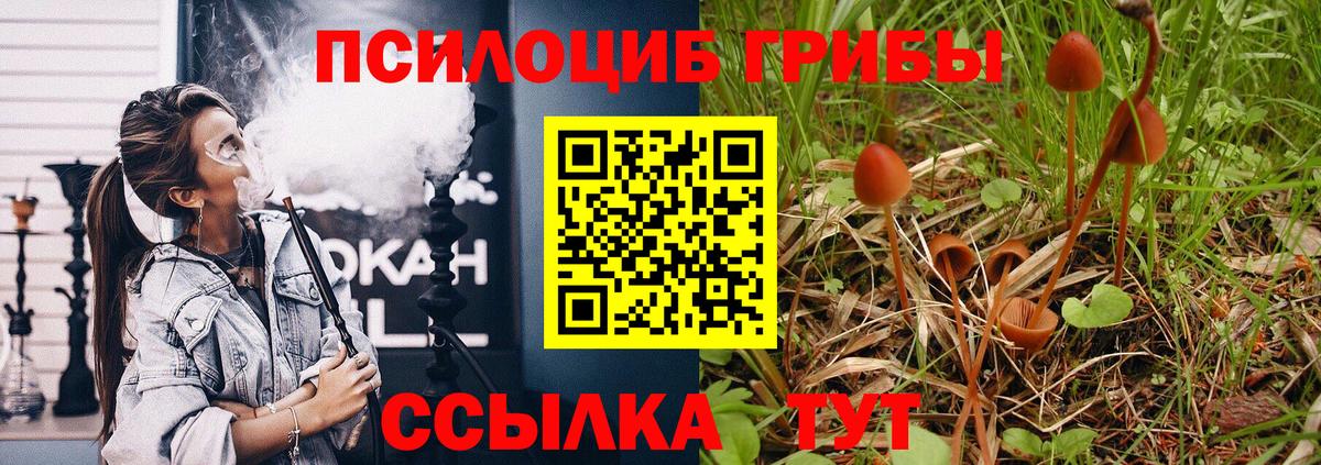 Галлюциногенные грибы мицелий Апшеронск