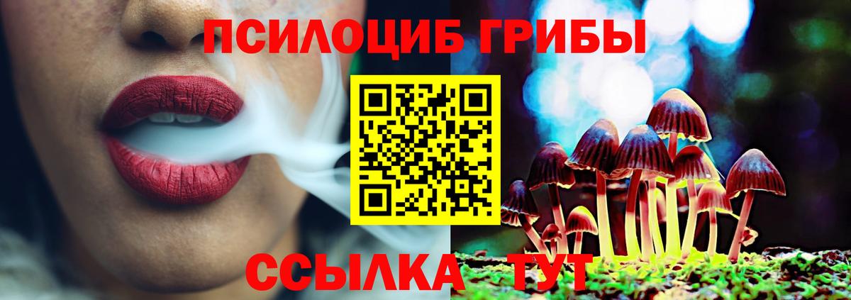 Апшеронск  Галлюциногенные грибы Psilocybine cubensis  Вход с VPN 